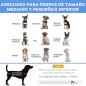 Cama para Perros