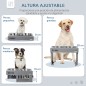 Comedero para Perros