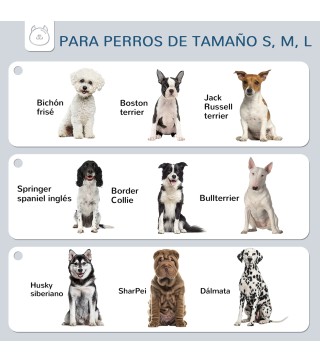 Comedero para Perros