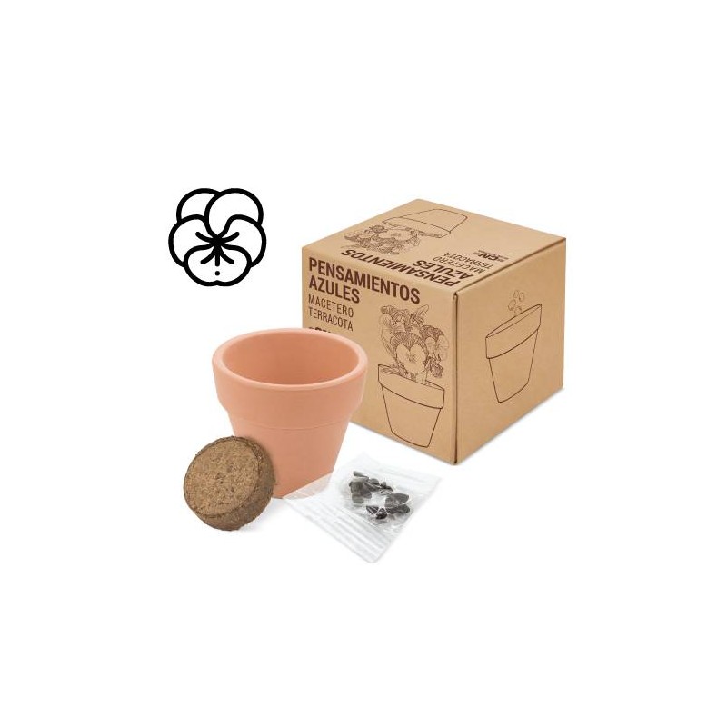 MACETA TERRACOTA CON SEMILLAS DE PENSAMIENTO MACETA TERRACOTA CON SEMILLAS DE PENSAMIENTO