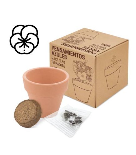 MACETA TERRACOTA CON SEMILLAS DE PENSAMIENTO