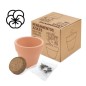 MACETA TERRACOTA CON SEMILLAS DE PENSAMIENTO MACETA TERRACOTA CON SEMILLAS DE PENSAMIENTO