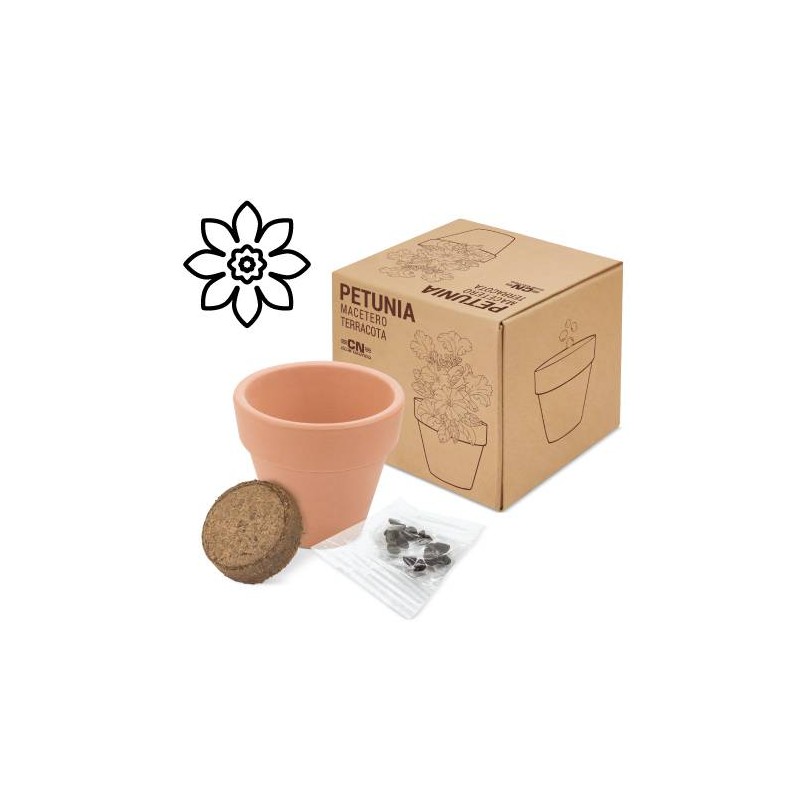 MACETA TERRACOTA CON SEMILLAS DE PETUNIA MACETA TERRACOTA CON SEMILLAS DE PETUNIA