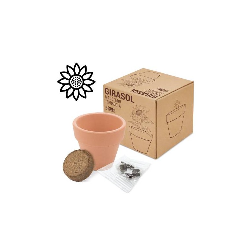 MACETA TERRACOTA CON SEMILLAS DE GIRASOL MACETA TERRACOTA CON SEMILLAS DE GIRASOL