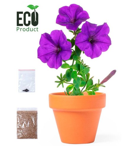 MACETA CON FLORES PETUNIA