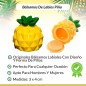 OFERTA! LOTE DE 500 BÁLSAMOS LABIALES PINA OFERTA! LOTE DE 500 BÁLSAMOS LABIALES PINA