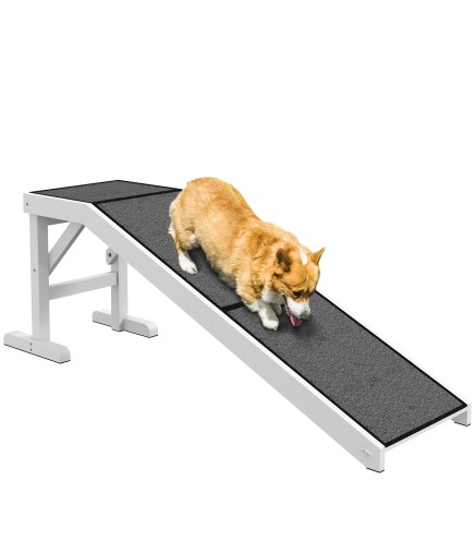 Rampa para Mascotas