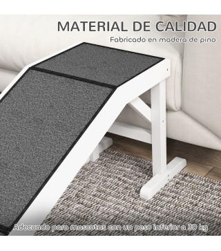 Rampa para Mascotas