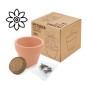 MACETA TERRACOTA CON SEMILLAS DE PETUNIA MACETA TERRACOTA CON SEMILLAS DE PETUNIA