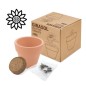 MACETA TERRACOTA CON SEMILLAS DE GIRASOL MACETA TERRACOTA CON SEMILLAS DE GIRASOL