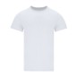 Camiseta Adulto Blanca Perkins