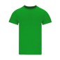 Camiseta Adulto Color Perkins