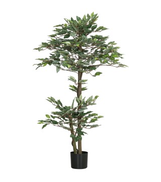 Ficus Artificial