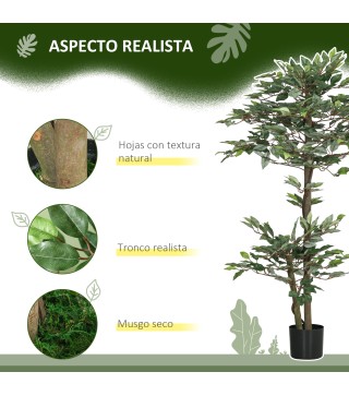 Ficus Artificial