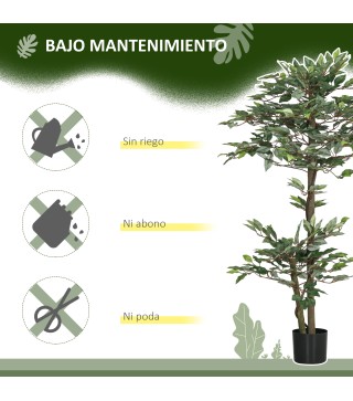 Ficus Artificial