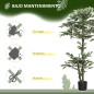 Ficus Artificial Ficus Artificial