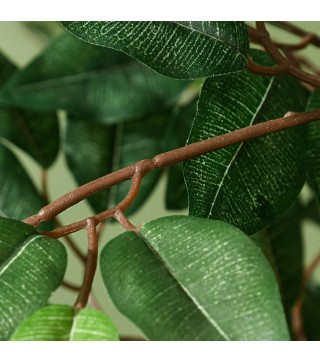 Ficus Artificial