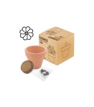 MACETA TERRACOTA CON SEMILLAS DE COSMOS