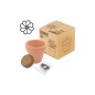 MACETA TERRACOTA CON SEMILLAS DE COSMOS MACETA TERRACOTA CON SEMILLAS DE COSMOS