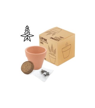 MACETA TERRACOTA CON SEMILLAS DE LUPINE
