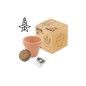 MACETA TERRACOTA CON SEMILLAS DE LUPINE MACETA TERRACOTA CON SEMILLAS DE LUPINE