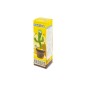 CACTUS BAILARIN Y CANTARIN EN CAJA REGALO CACTUS BAILARIN Y CANTARIN EN CAJA REGALO