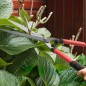 Set Herramientas Jardinería