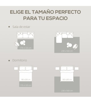 Alfombra de Salón