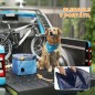 Piscina para Perros Piscina para Perros