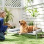 Cama Elevada Perros