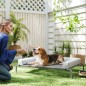 Cama Elevada Perros