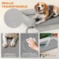 Cama Elevada Perros