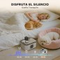 Fuente Agua Mascotas Fuente Agua Mascotas