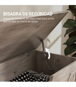 Baúl de Almacenaje