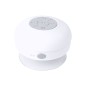 Altavoz Rariax