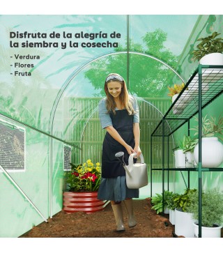 Invernadero de Túnel