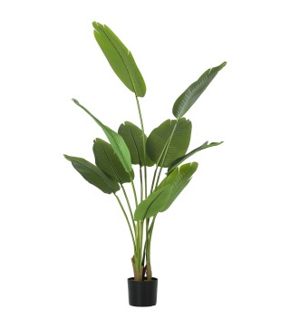 Bananera Artificial
