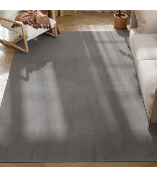 Alfombra de Salón