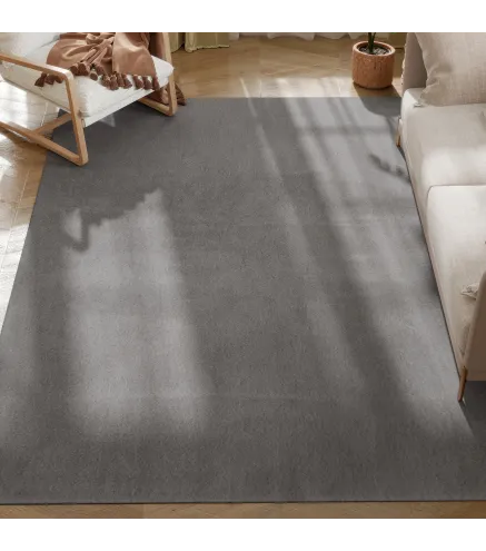 Alfombra de Salón