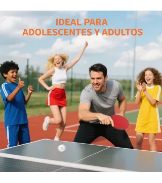 Palas Ping Pong