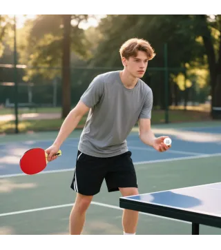 Palas Ping Pong