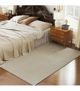 Alfombra de Salón