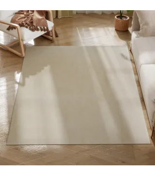 Alfombra de Salón