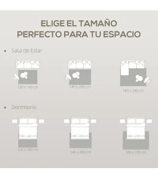 Alfombra de Salón