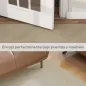Alfombra de Salón