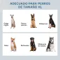 Comedero para Perros