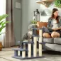 Escalera para Gatos