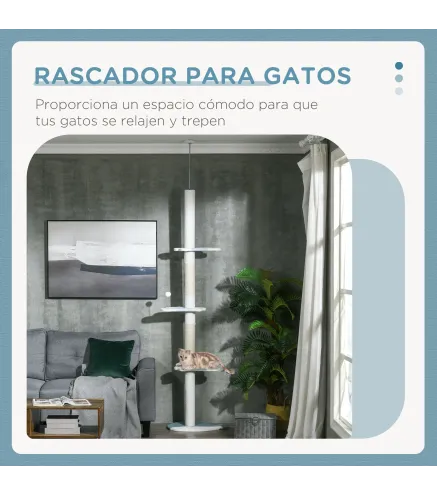 Árbol para Gatos de Suelo