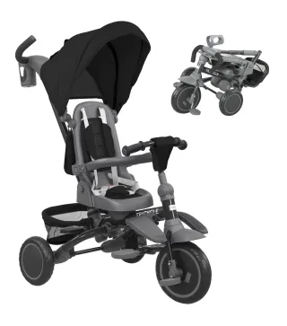 Triciclo Evolutivo