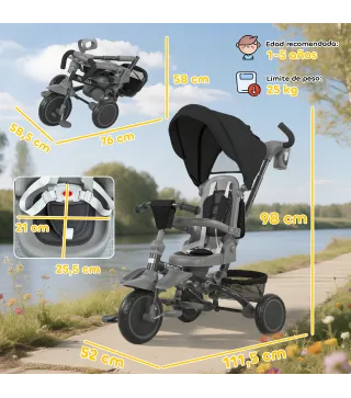 Triciclo Evolutivo